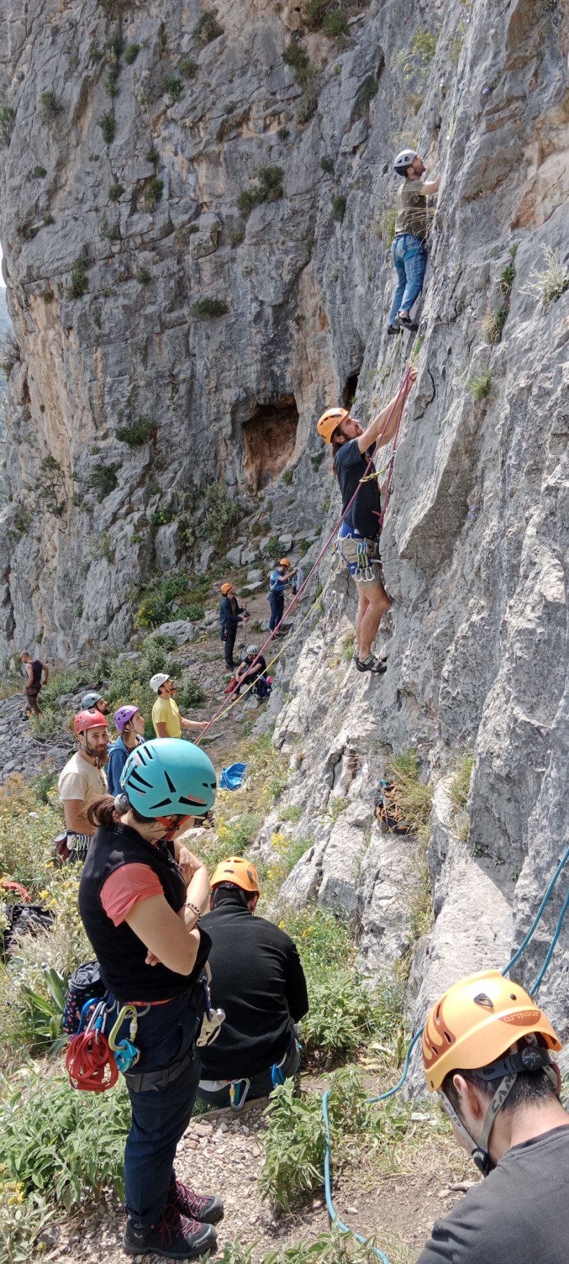 ΣΧΟΛΗ ΑΝΑΡΡΙΧΗΣΗΣ ΑΡΧΑΡΙΩΝ ΙΑΝ ΦΕΒΡ 44383