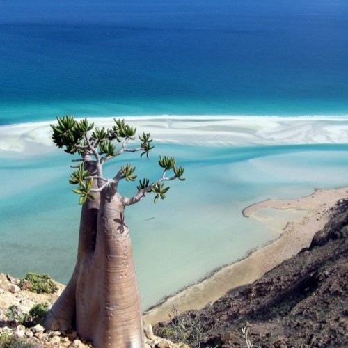 2 BOTTLE 3 ME ΑΜΜΟΥΔΙΑ eea35