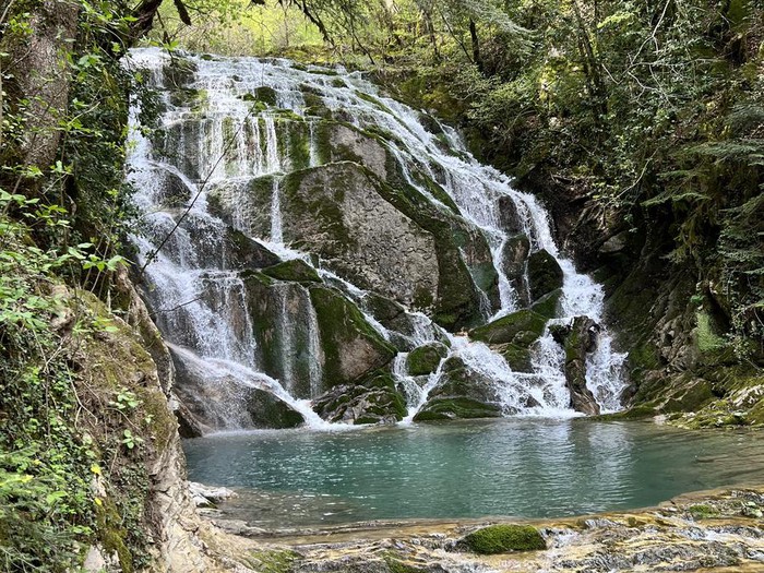 ΤΣΙΓΚΟΡΙ 3 ΘΕΟΔΩΡΙΑΝΑ c14d4