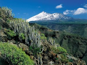 pico-del-teide-c03