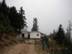 kaliakouda