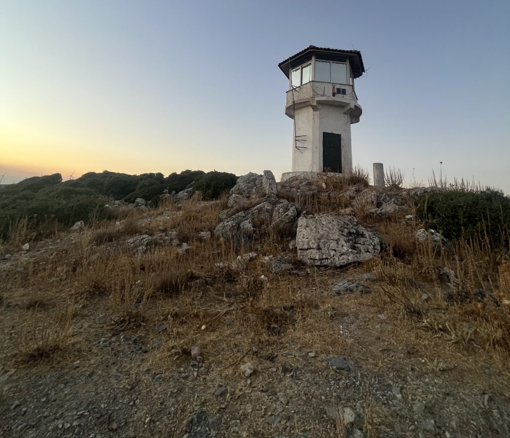 parnitha5965