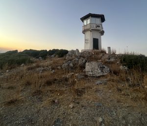parnitha5965