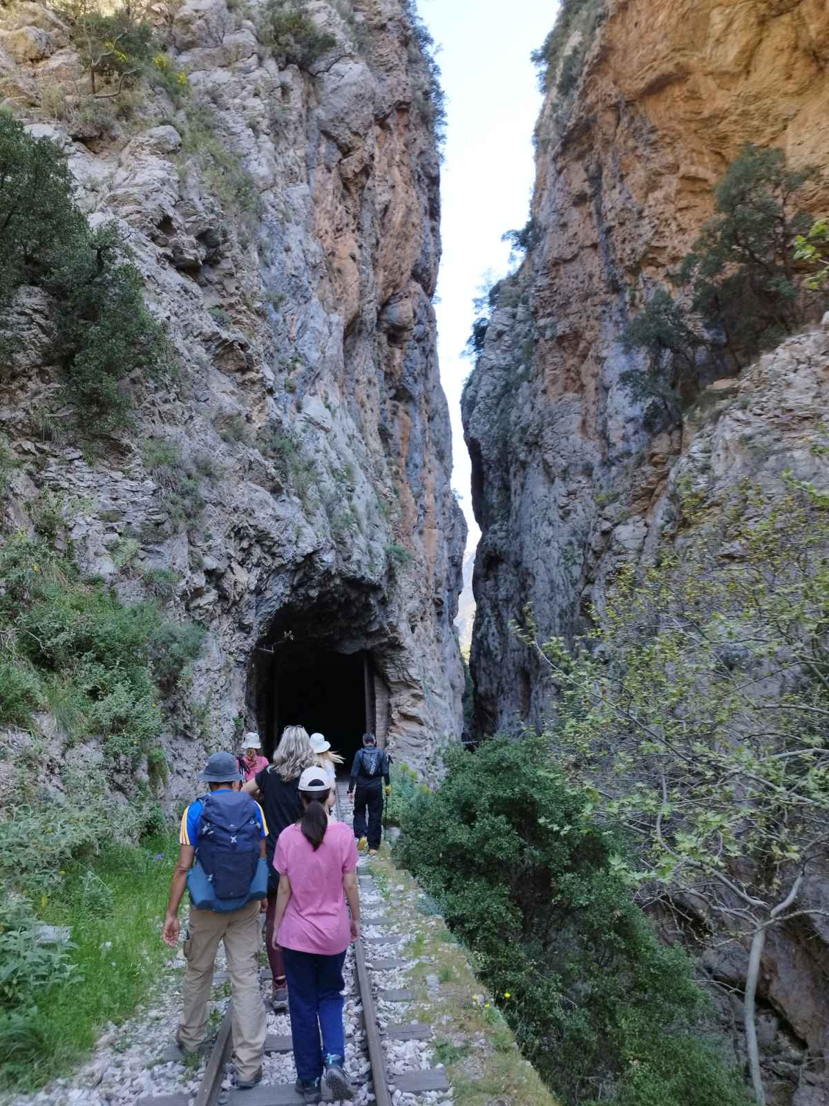 εικόνα_Viber_2024-04-08_06-19-06-493