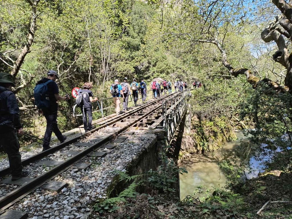 εικόνα_Viber_2024-04-08_06-20-11-111